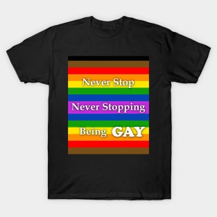 Never Stop Never Stopping Being Gay Pride Shirt And Others T-Shirt